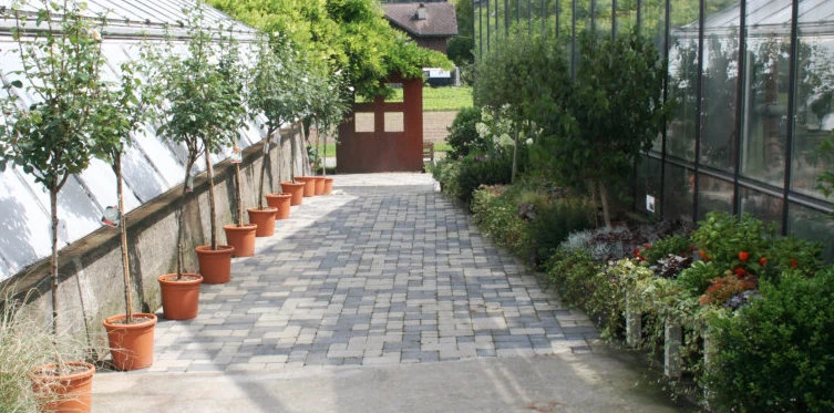 Topfpflanzen überwintern Murten